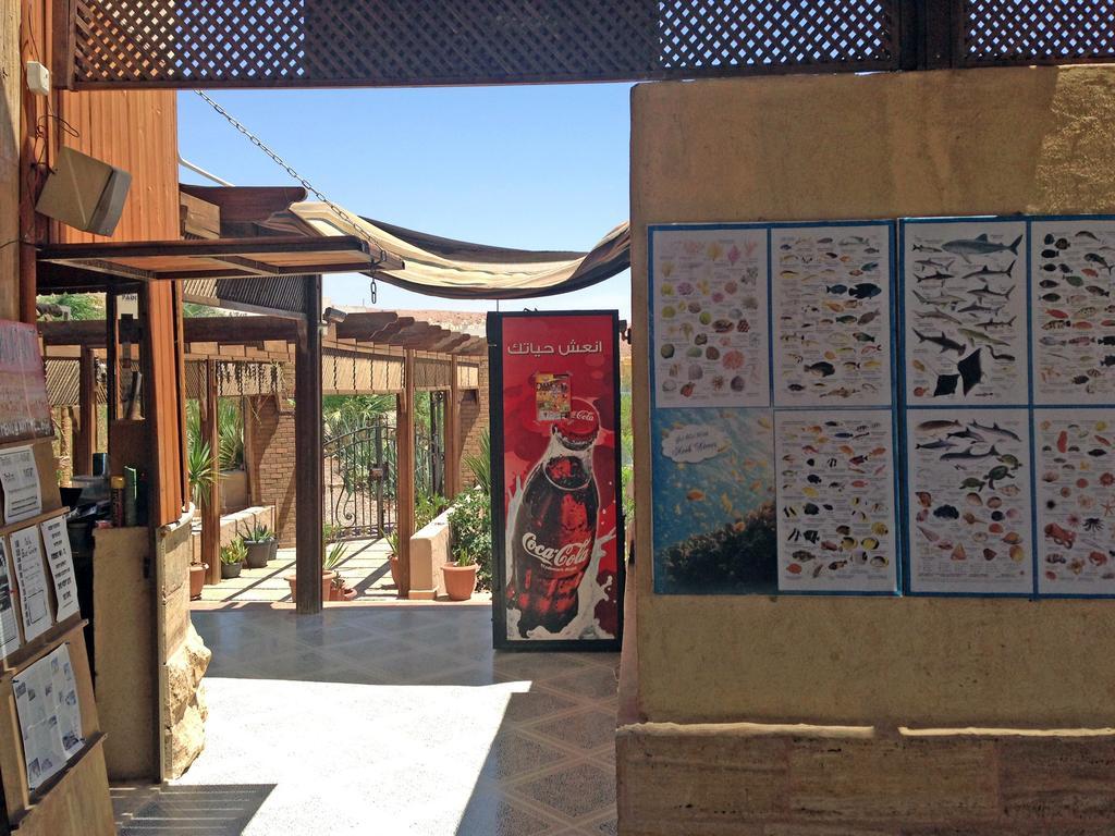 Arab Divers Dive Center And Bed & Breakfast Áqaba Exterior foto
